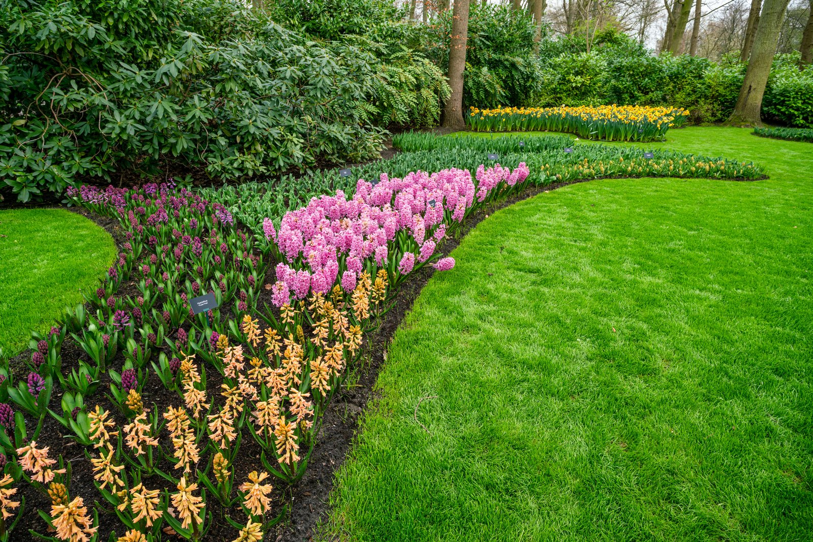 Colorful garden landscape and grassy lawn