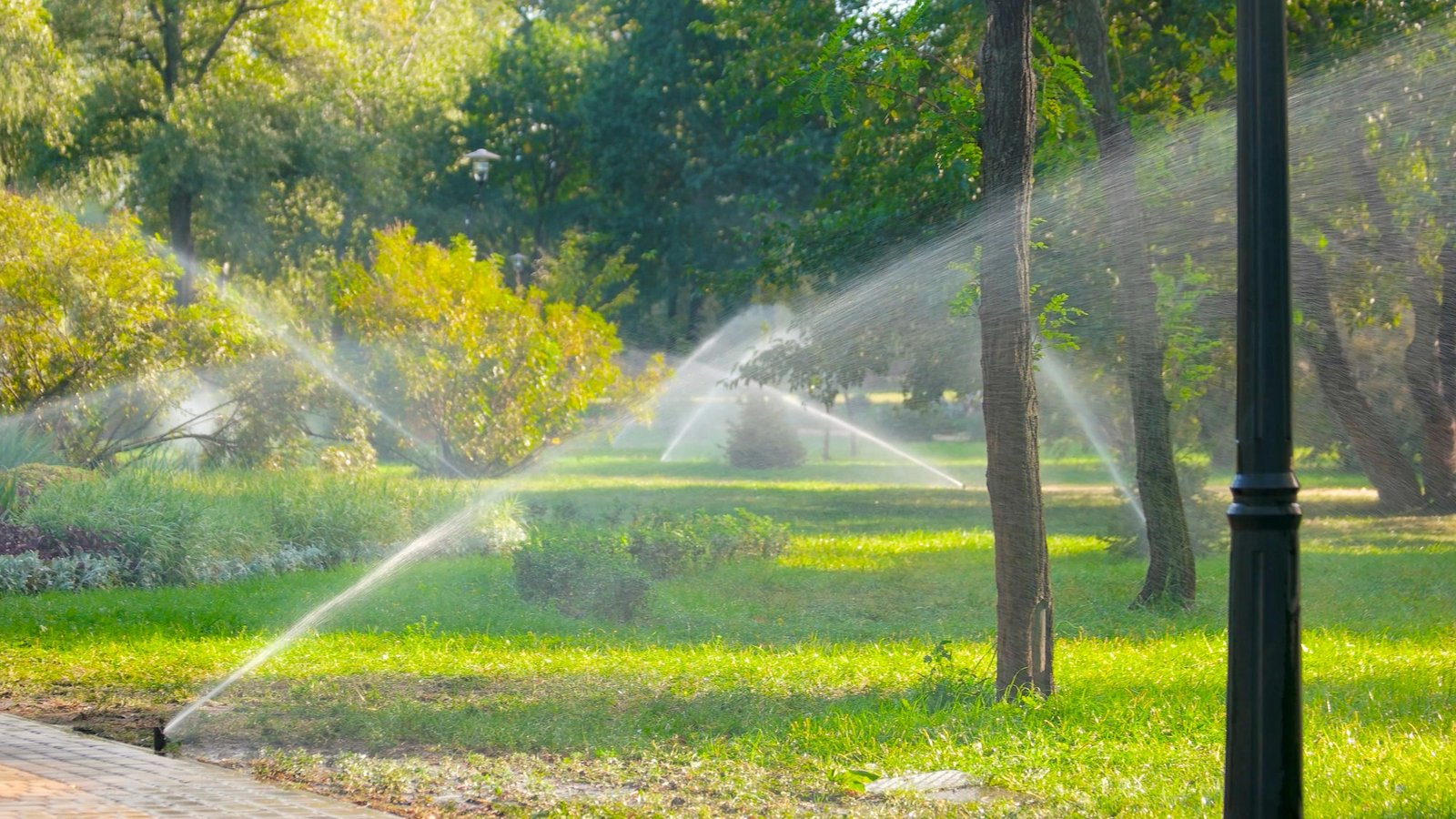 Automatic sprinkler system watering the lawn.